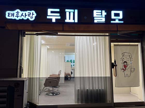 Taehu Sarang Maegyo Branch
