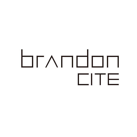 Brandon City Council