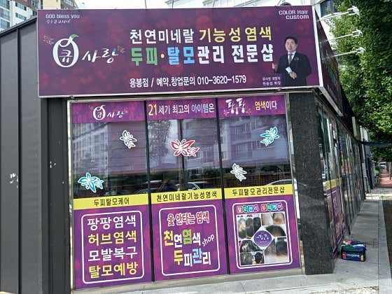 Q Sarang 雙年展分會