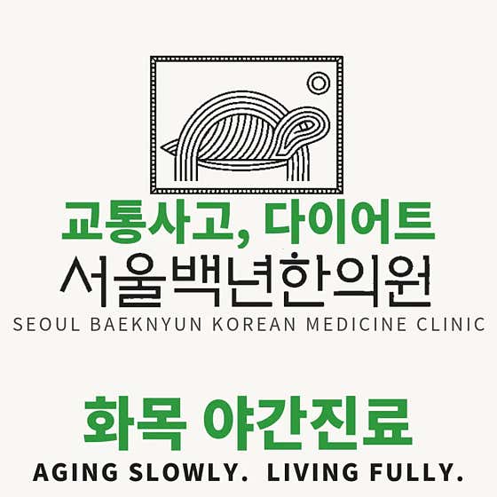 Seoul Baeknyeon Korean Medicine Clinic