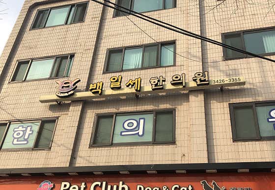 Baekilse Korean Medicine Clinic