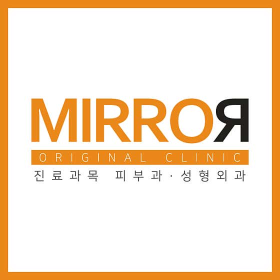 Mirror lawmaker