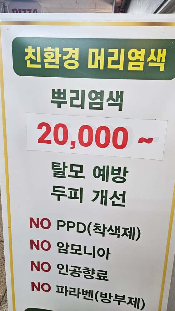 천연머리염색 엘샤론