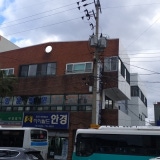 봄길의원