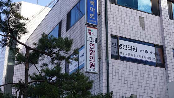 Korea University United Member