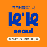 크크서울의원