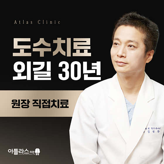 阿特拉斯議員