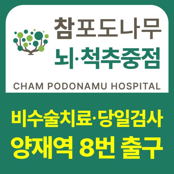 참포도나무병원