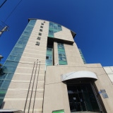 市議員塞萊斯