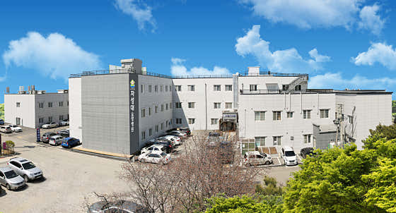 Jaseongdae Nursing Hospital