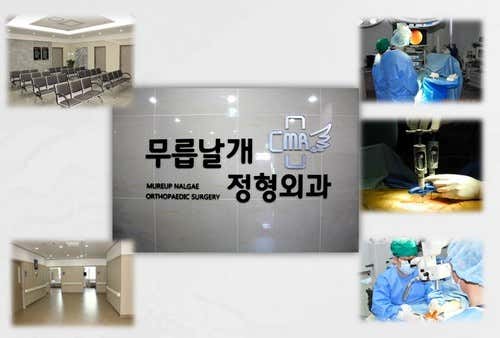 Knee Wing Orthopedics Clinic