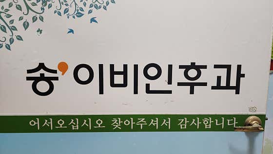 송이비인후과의원