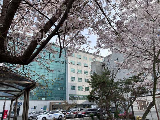 Yangji Nursing Hospital