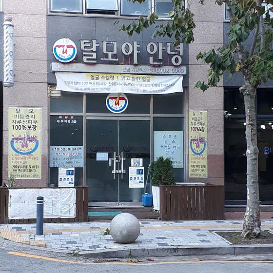 탈모야안녕