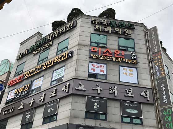 Miso In Mental Health Clinic