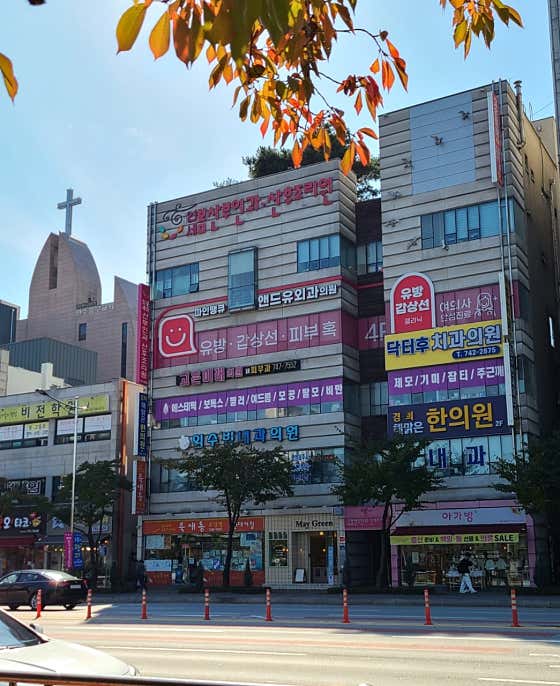 닥터후치과의원