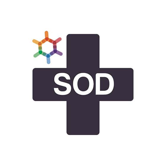 圓光SOD韓醫診所