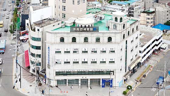 가자연세병원 서울