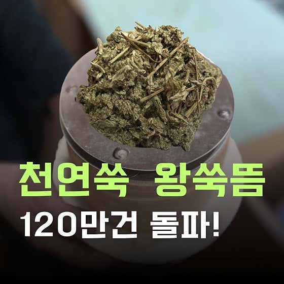 Inui Korean Medicine Clinic