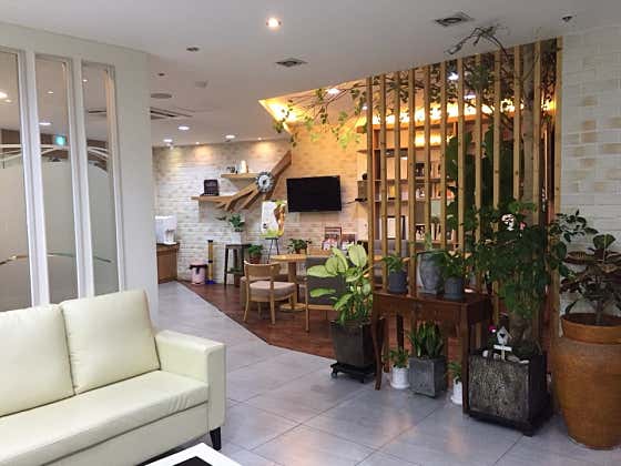 Sponge Plastic Surgery Clinic