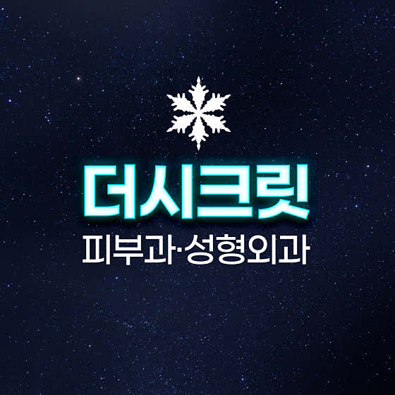 더시크릿의원