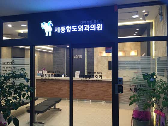 세종항도외과의원