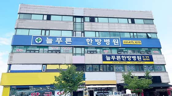 늘푸른한방병원