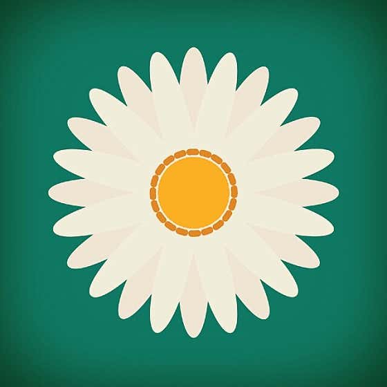 Chamomile Clinic