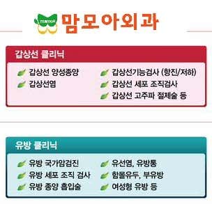 濟州島乳房整形外科診所