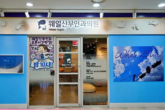 Whale Obstetrics and Gynecology Clinic
