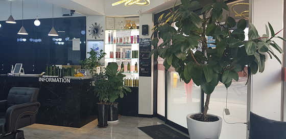 美麗的秘密伊爾辛分店