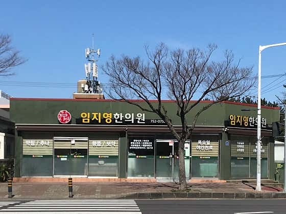 임지영한의원