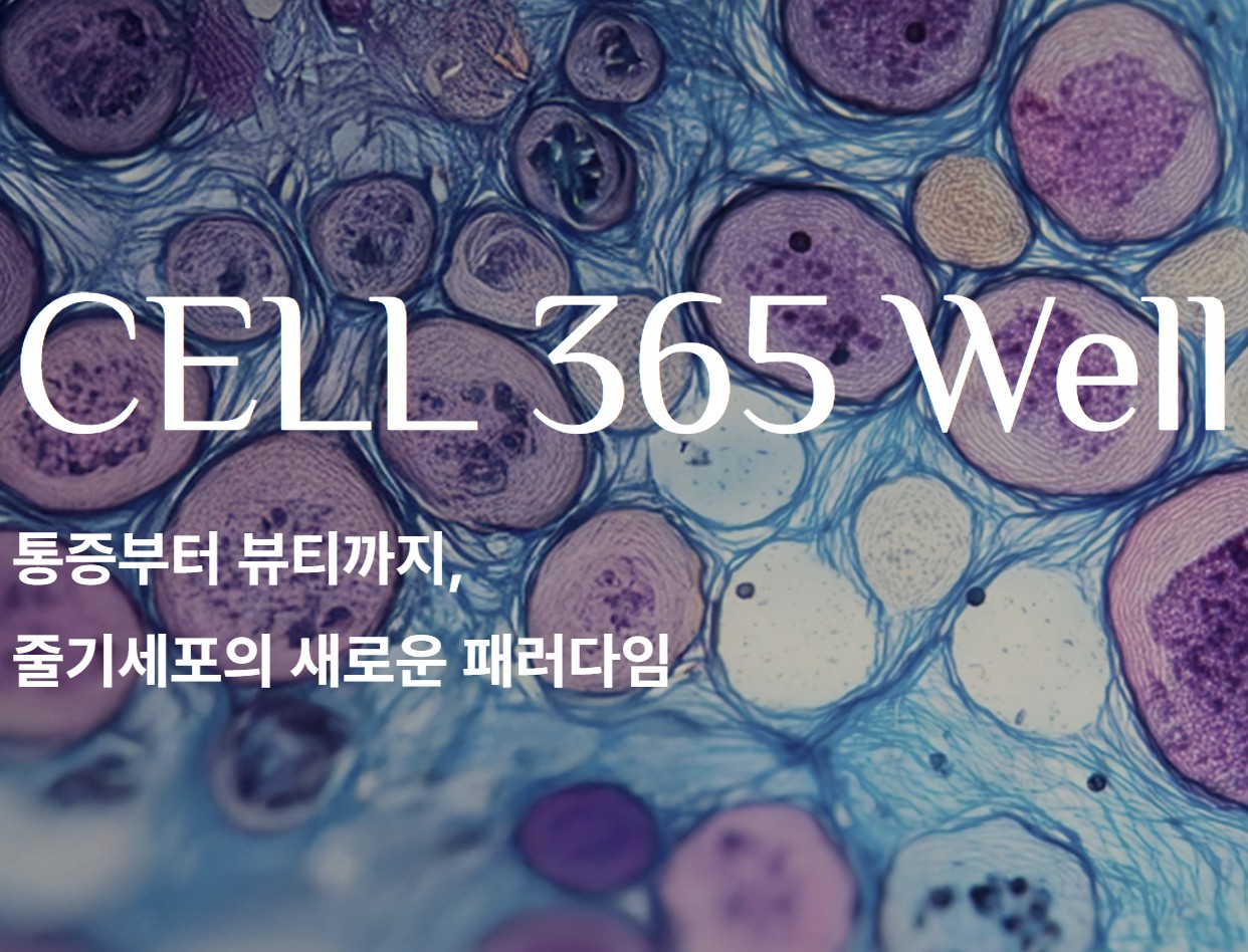 신사 줄기세포 셀365웰 정형외과 재활의학과